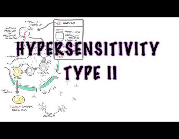 Hypersensitivity 2 (cytotoxic reaction)