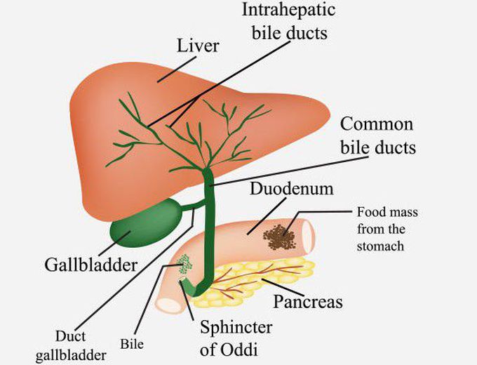 Biliary atresia