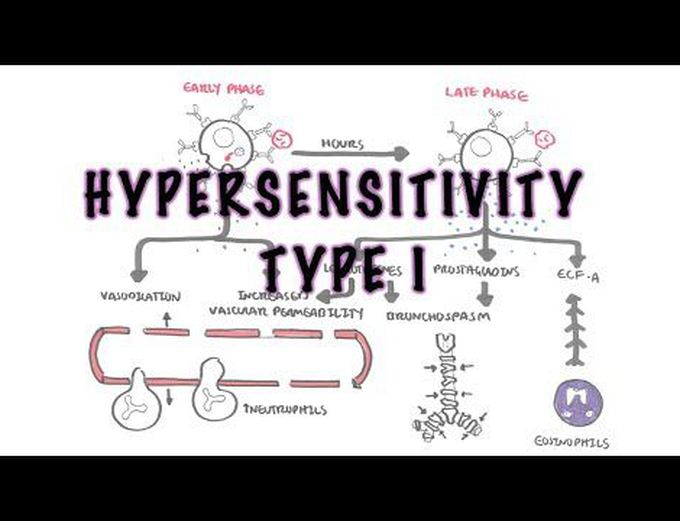 Pathophysiology of hypersensitivity type I