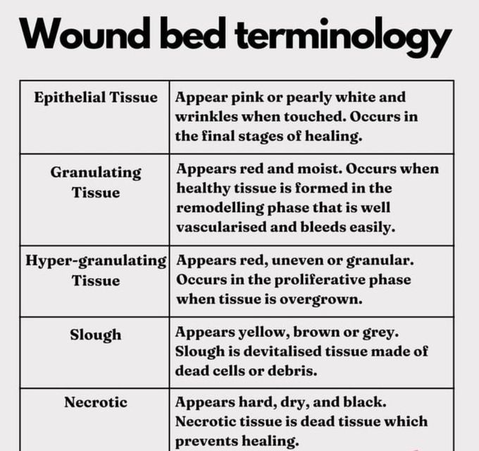 Wound Bed Terminology