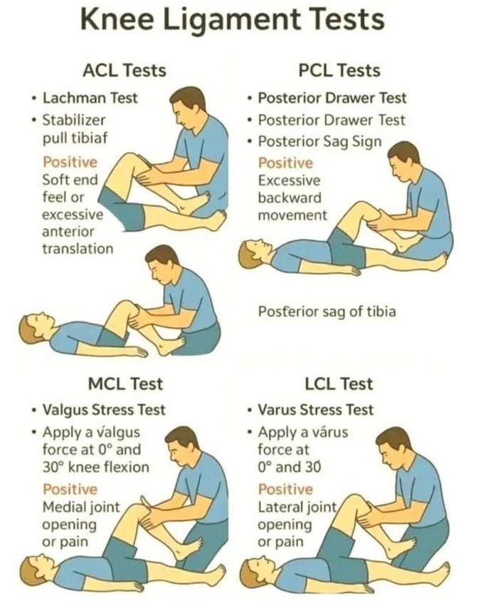 Knee Ligament Tests