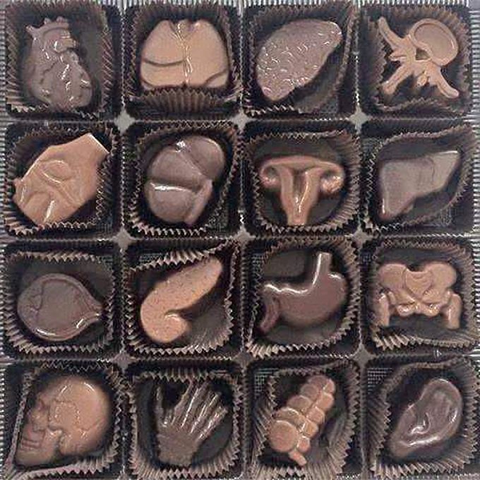 Anatomical chocolate // Post -vikram kumar