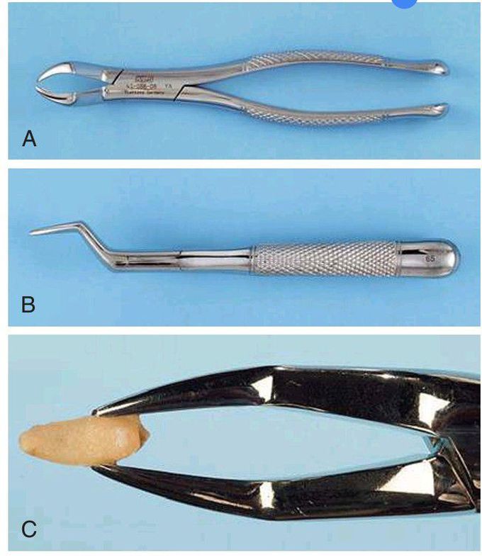 No 65 forceps