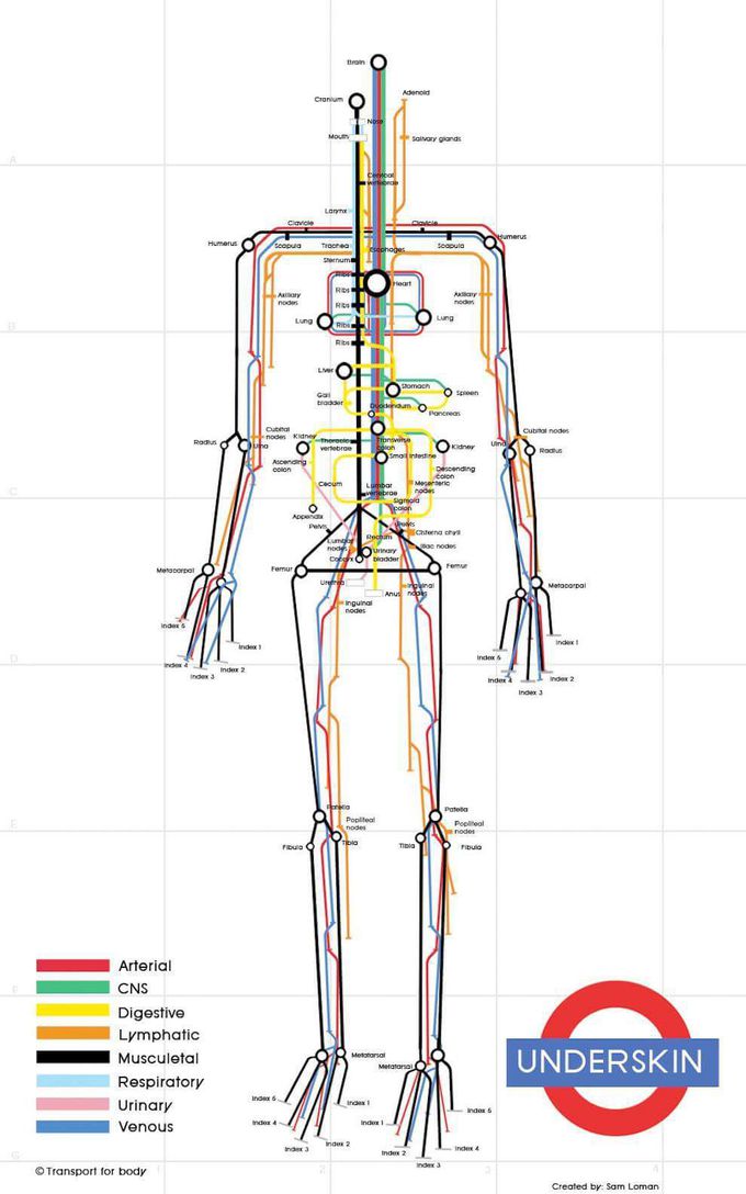 Human body metro