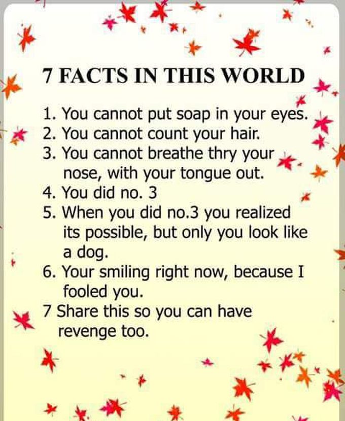 Facts in this world