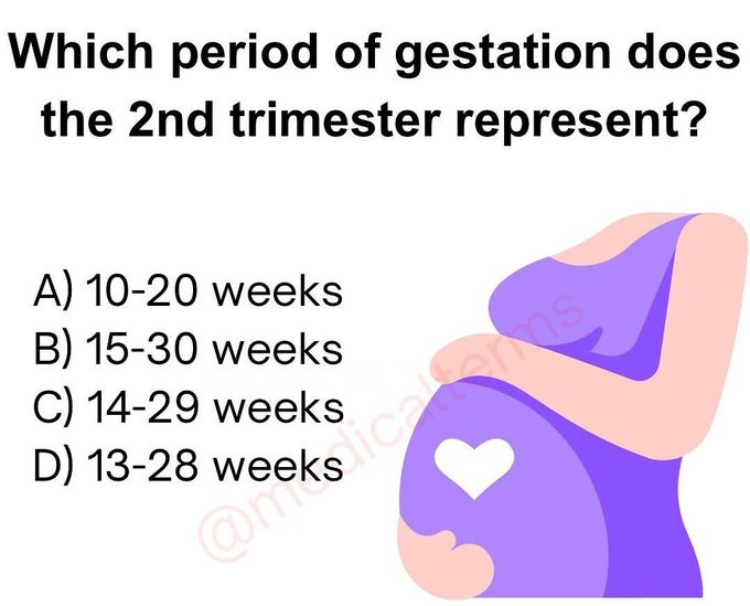 Second Trimester