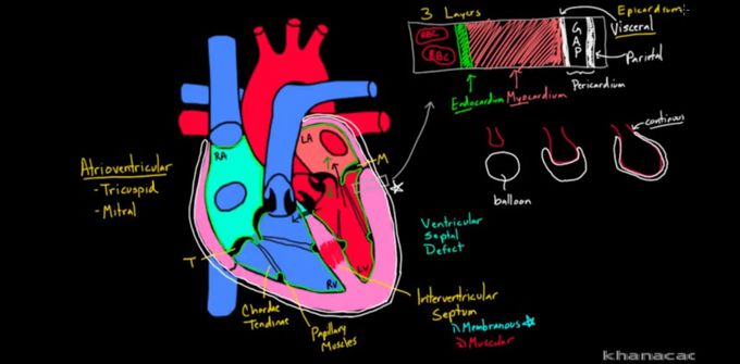 Nice drawing of heart ♥