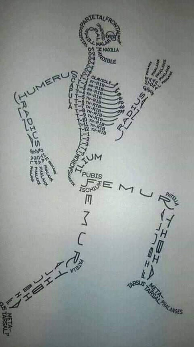 Perfect classification of bones for precise understanding