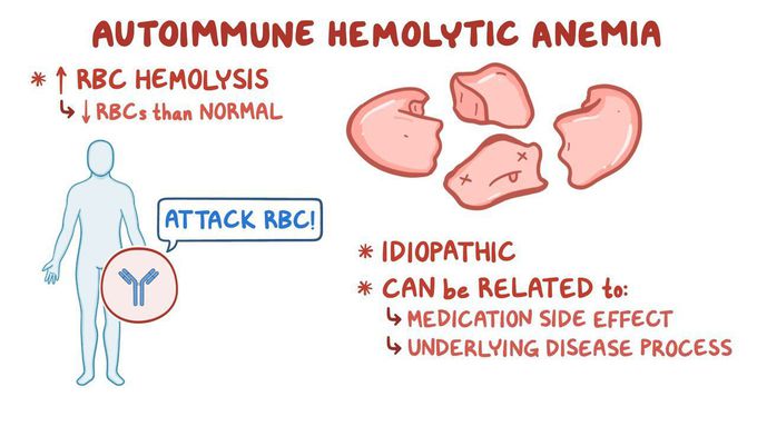 What causes hemolytic anemia?