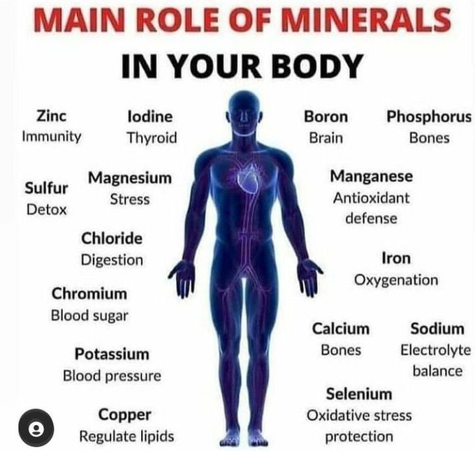 Main roles of minerals in body