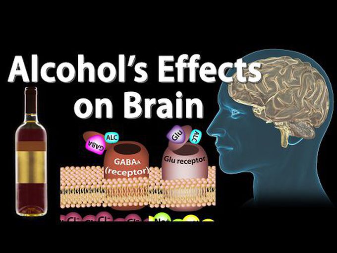 How Alcohol affects the Brain(animation)