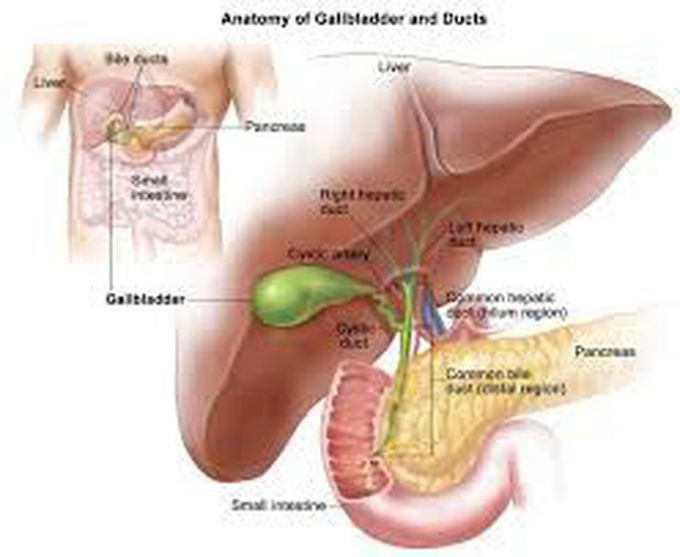 Carolis disease symptoms