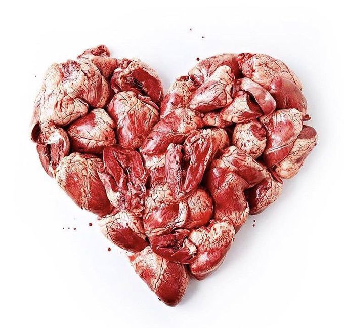 ♥️♥️♥️♥️