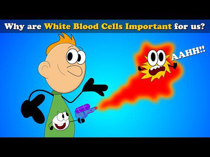 Informative video - Why white blood cells are important and much more