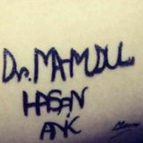 Dr. Mahmudul Hasan