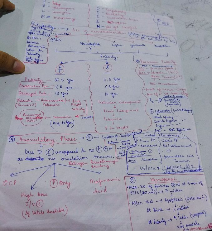 Gynaecology Diseases