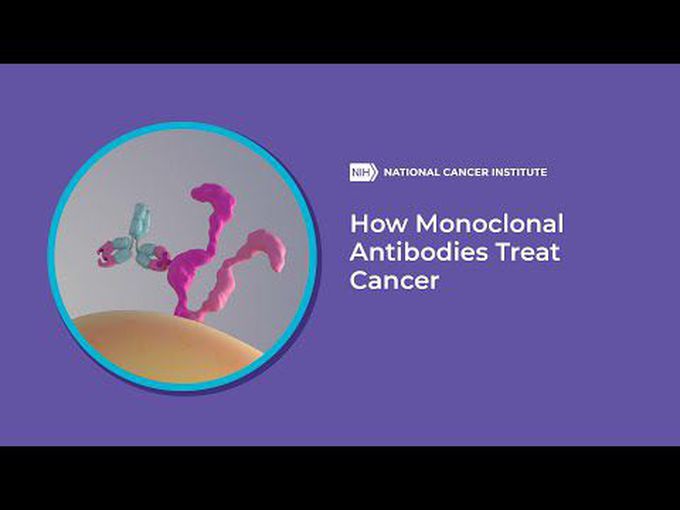 Monoclonal Antibodies - Animation