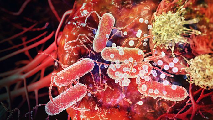 इमेज: now the treatment of cancer will be easily with the help