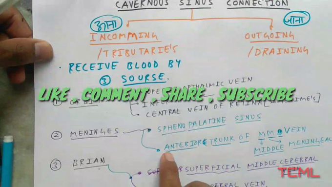 Cavernous sinus communication , PART- 2/4