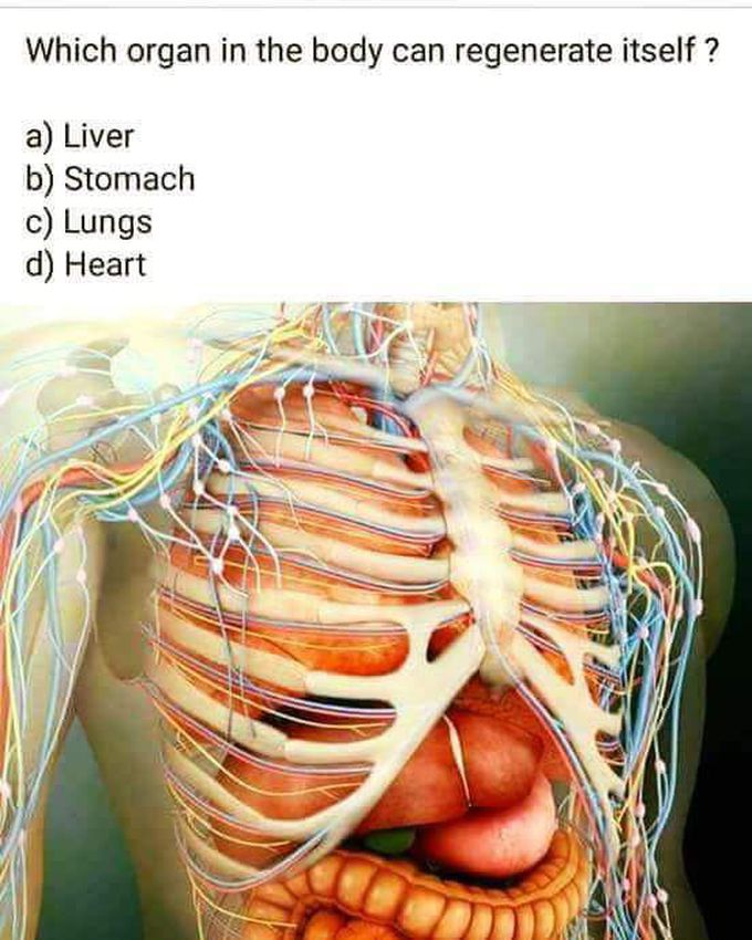 Ans plzz.