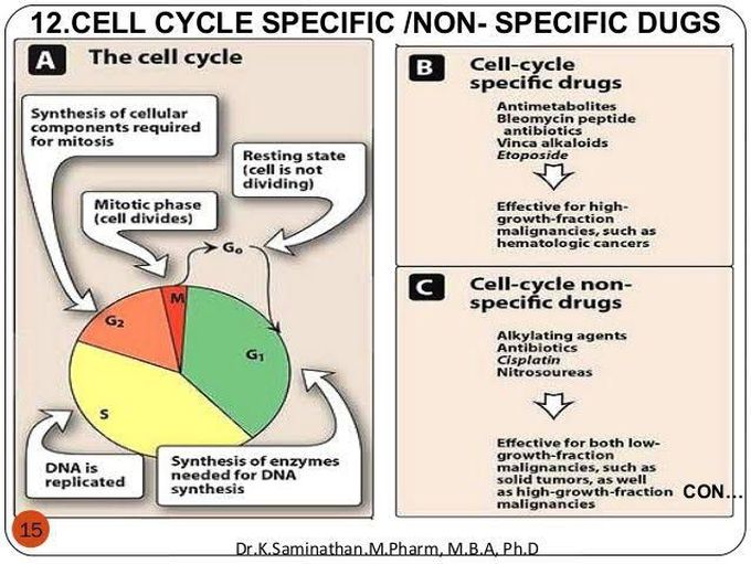 Cell Cycle Specific and Non-specific drugs
