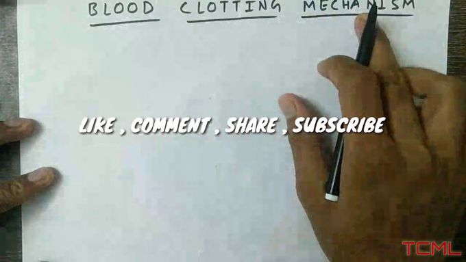 Blood clotting mechanism