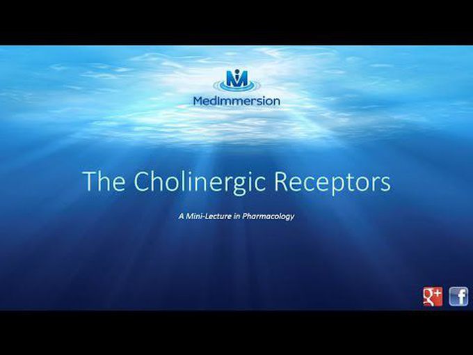 Cholinergic Receptors