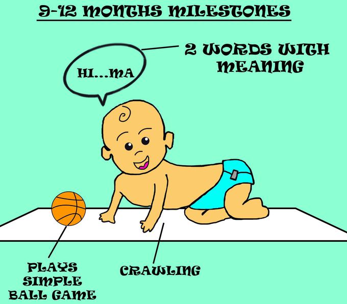Pediatrics millstone 9-12 months