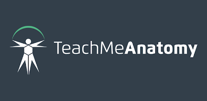 Teach Me Anatomy - Apps on Google Play