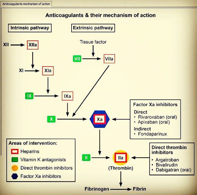 Anticoagulants and their mechanism of action