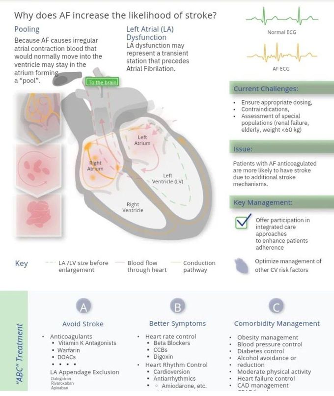 AF and Stroke