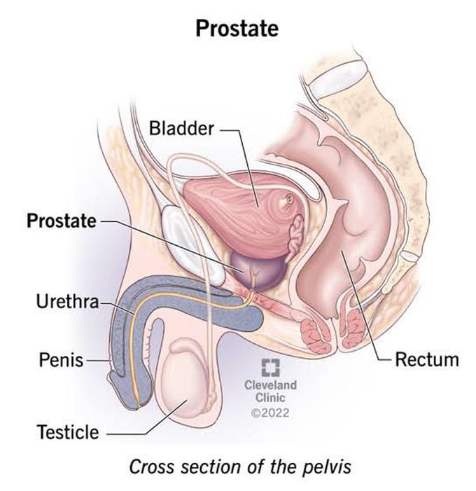 Signs of prostate problems
