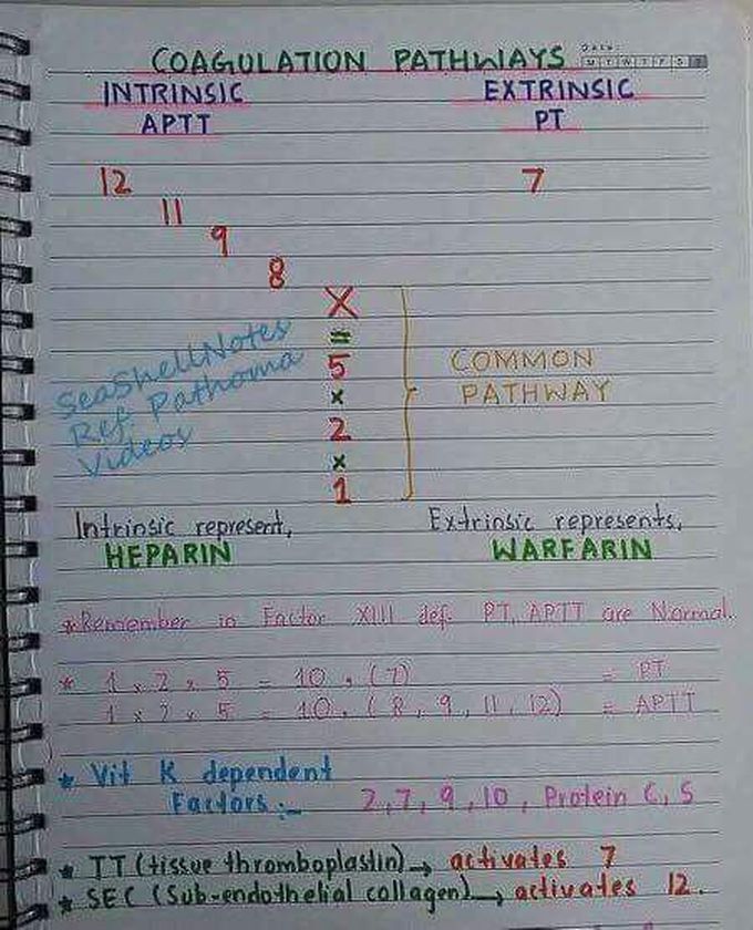 Blood coagulation