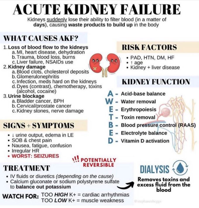 Acute Kidney Failure