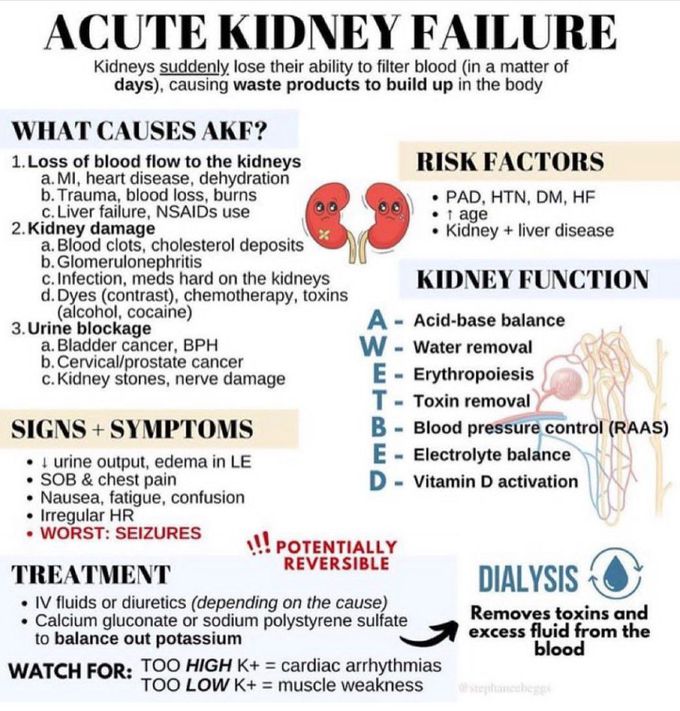 Acute Kidney Failure - MEDizzy