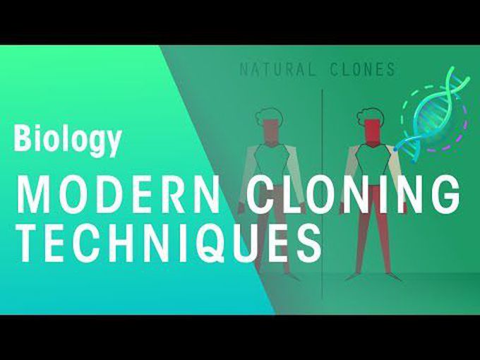 Modern Cloning Techniques