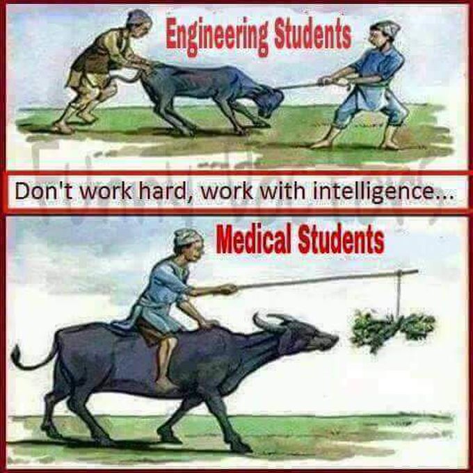 Medical students are born to work with intelligence.