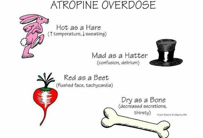 Effects of Overdose of ATROPINE