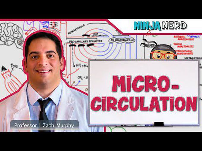 Microcirculation