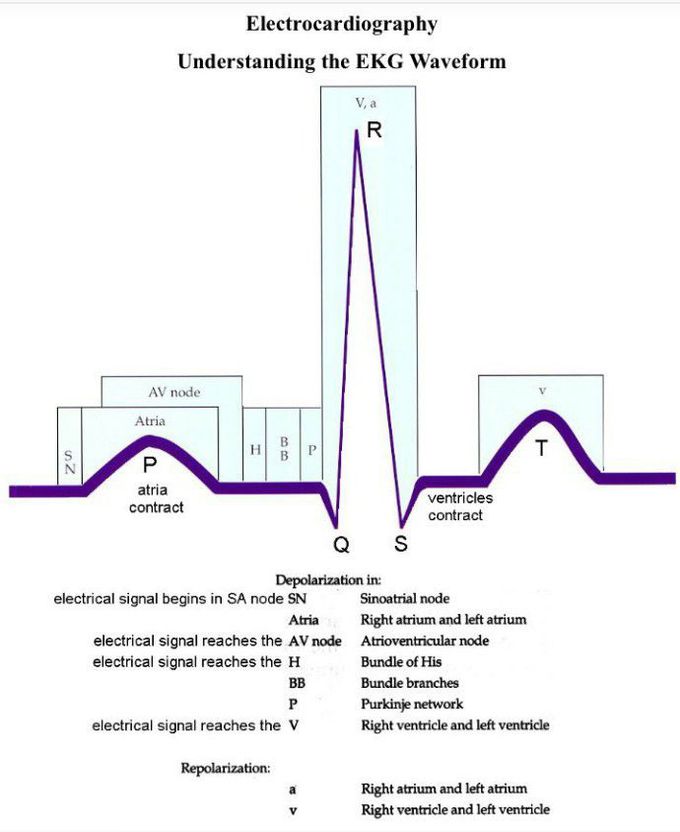 Easy way to learn ECG