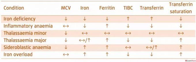 Iron profile interpretation