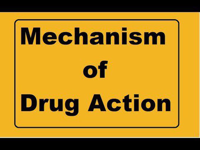 Basics of pharmacology ( pharmacodynamics)