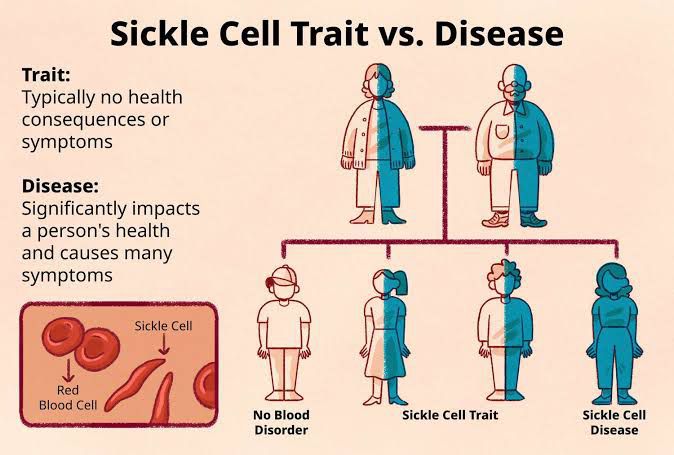 Sickle Cell Trait Vs Disease MEDizzy