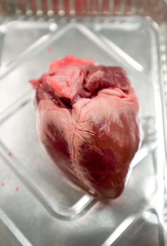 Beautiful Heart