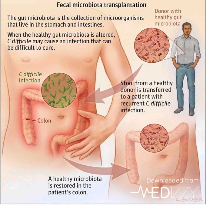 Micro bacterial restored