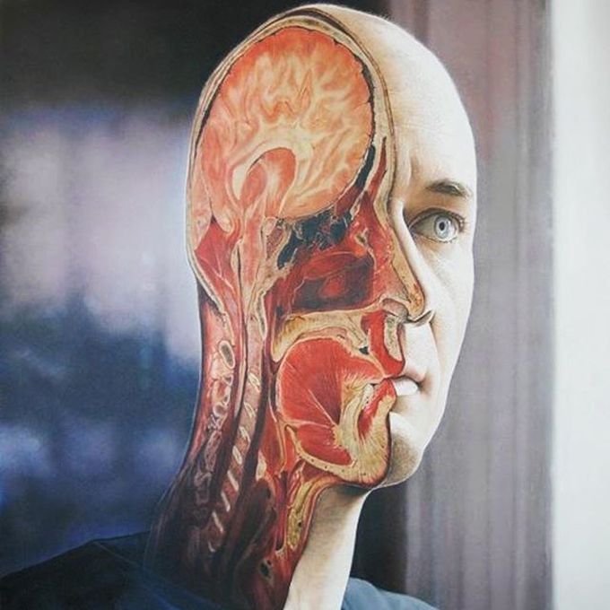 Human body