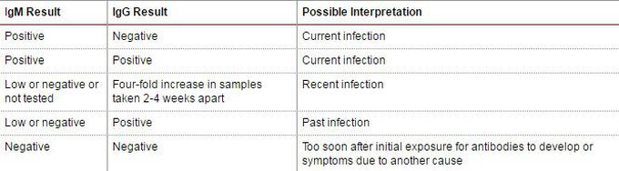 Dengue interpretation