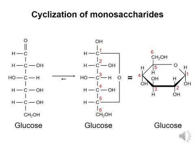 Cyclization of Monosaccharides