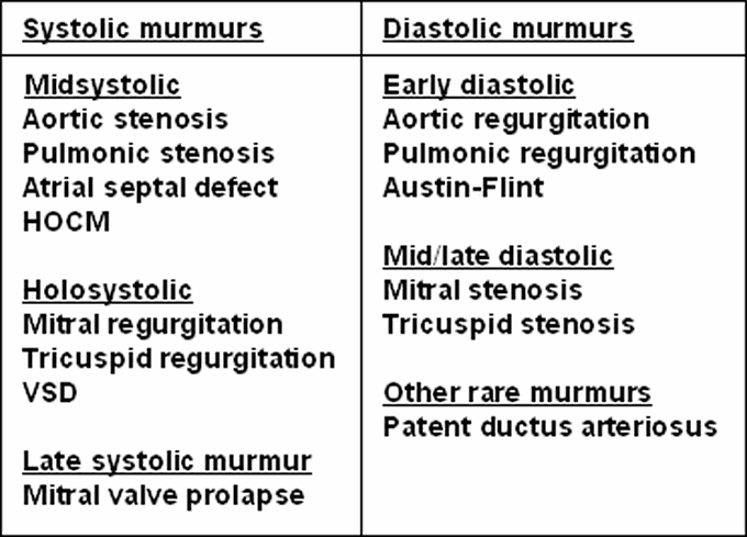 Systolic Vs Diastolic Murmur