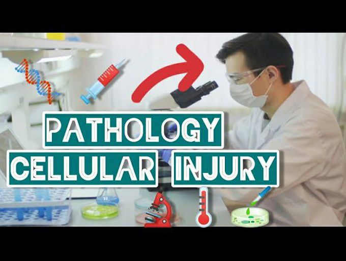 | CELL INJURY & CELL ADAPTATION PART 1 | PATHOLOGY- CELLULAR INJURY |